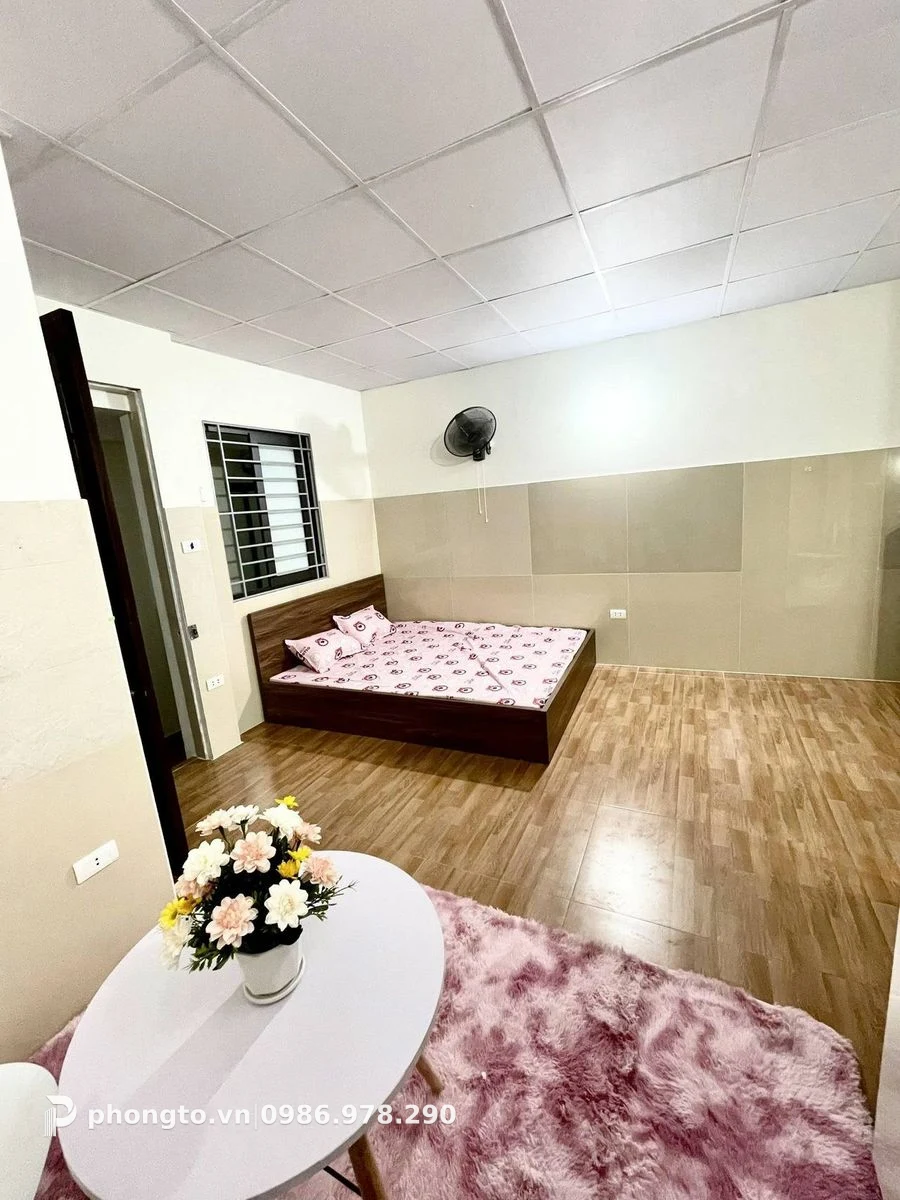 Studio Lĩnh Nam Hoàng Mai - PTGD-41203 (ảnh 2)