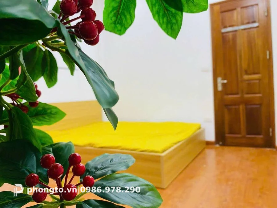 Studio (WC chung) Yên Hòa Cầu Giấy - PTGD-41750 (ảnh 2)