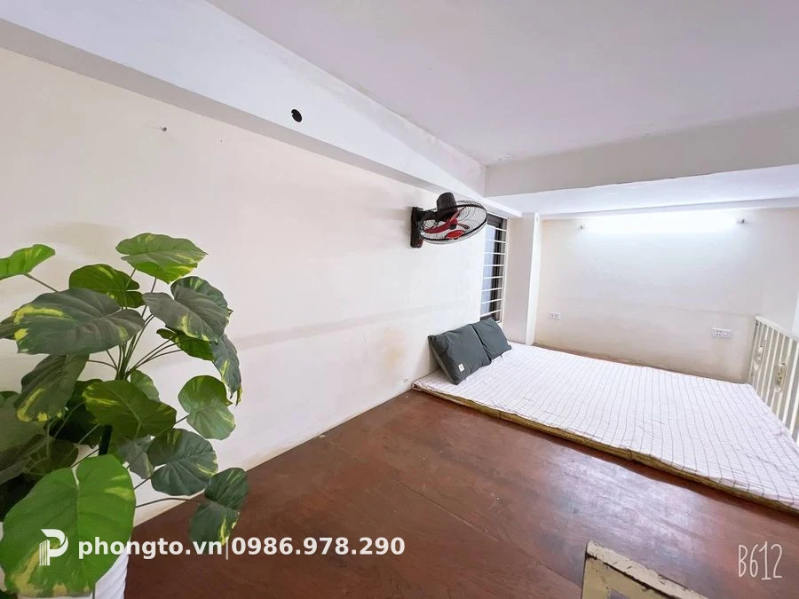 Studio Thanh Xuân Thanh Xuân - PTGD-41930 (ảnh 5)
